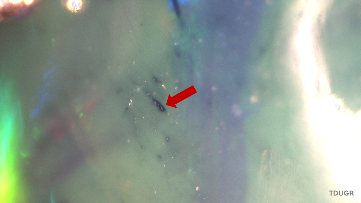 opal-ethopia-carbon-02